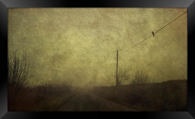 Bird on the Wire Framed Print by Dawn Cox