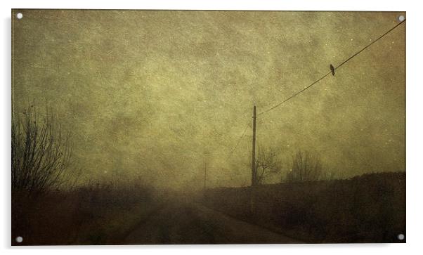 Bird on the Wire Acrylic by Dawn Cox