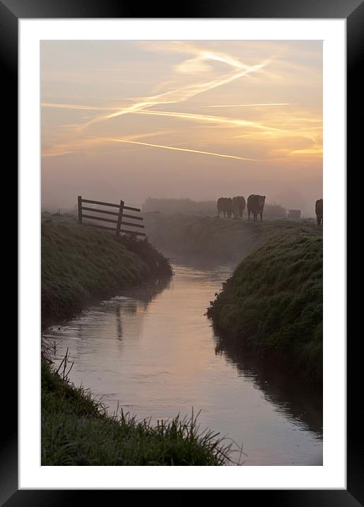 Morning moments Framed Mounted Print by mike Davies