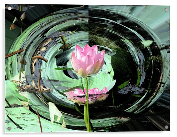 Lotus Acrylic by Susmita Mishra