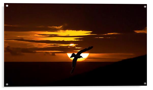 Majestic Sunset on Jurassic Coast Acrylic by Daniel Rose