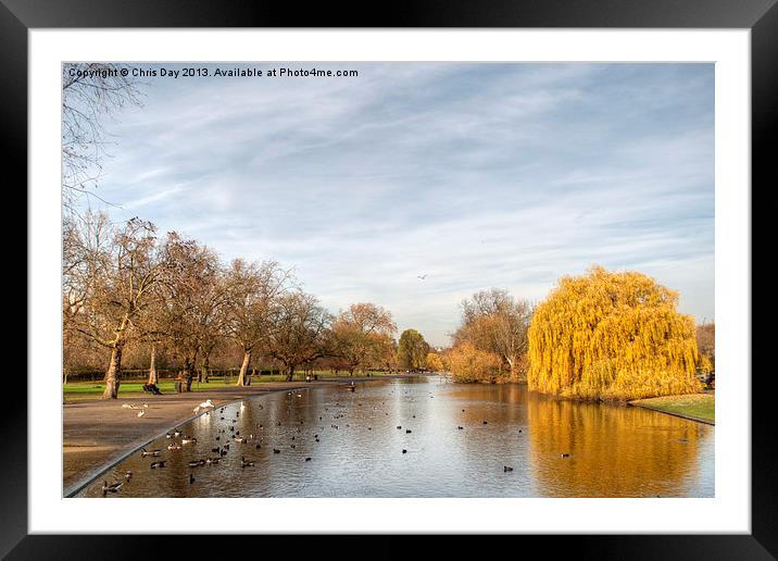 Regents Park in London Framed Mounted Print by Chris Day