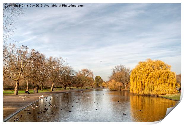 Regents Park in London Print by Chris Day