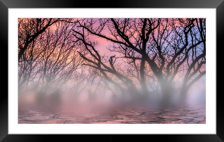 Tree Reflections Framed Mounted Print by Thanet Photos