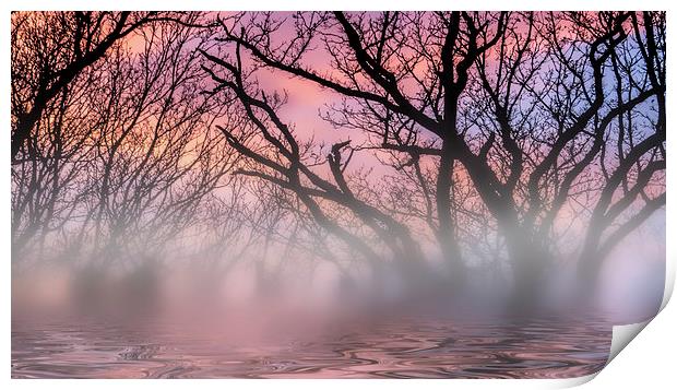 Tree Reflections Print by Thanet Photos