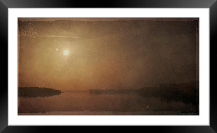 in the Quiet of Early morning Framed Mounted Print by Dawn Cox