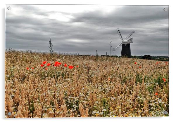 Burnham Overy Windmill Acrylic by Gary Pearson