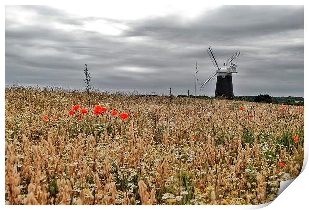 Burnham Overy Windmill Print by Gary Pearson