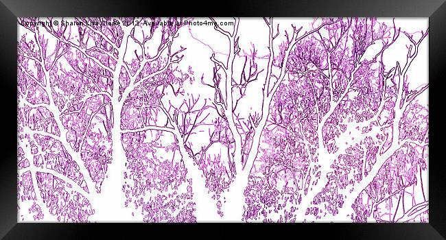 Wild pink woods Framed Print by Sharon Lisa Clarke