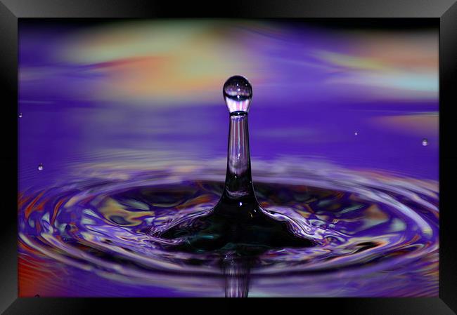 water drops bubbles an crowns Framed Print by nick wastie