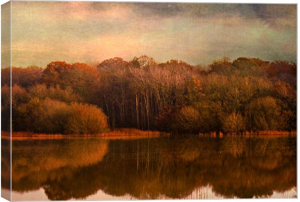 The Glass Lake Canvas Print by Dawn Cox