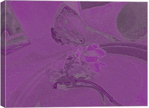 Purple Butterfly Canvas Print by Carmel Fiorentini