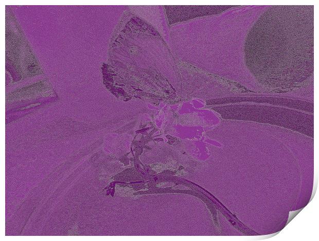 Purple Butterfly Print by Carmel Fiorentini