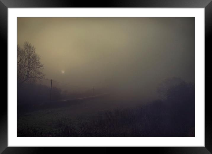 The Fog Framed Mounted Print by Dawn Cox