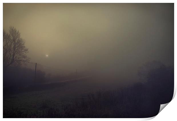 The Fog Print by Dawn Cox
