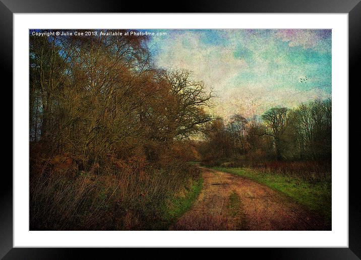 A Walk In The Country Framed Mounted Print by Julie Coe