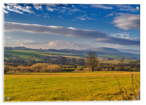 Wensleydale Views Acrylic by Trevor Kersley RIP