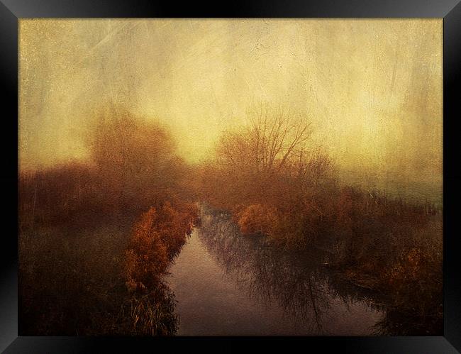 Winter walk Framed Print by Dawn Cox