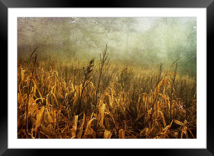 Where the Wild things Grow Framed Mounted Print by Dawn Cox