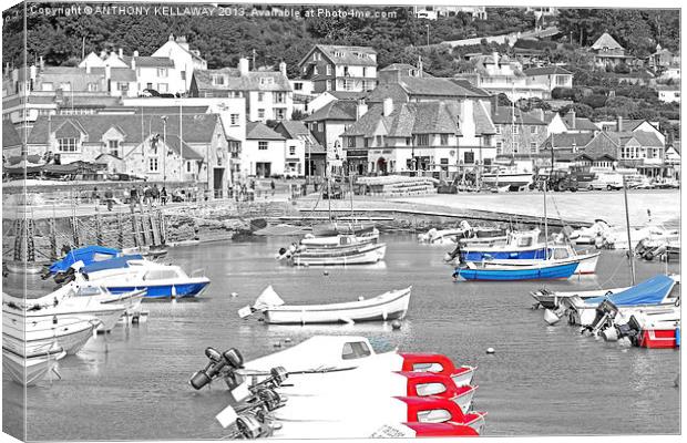 VIEW FROM THE COBB Canvas Print by Anthony Kellaway