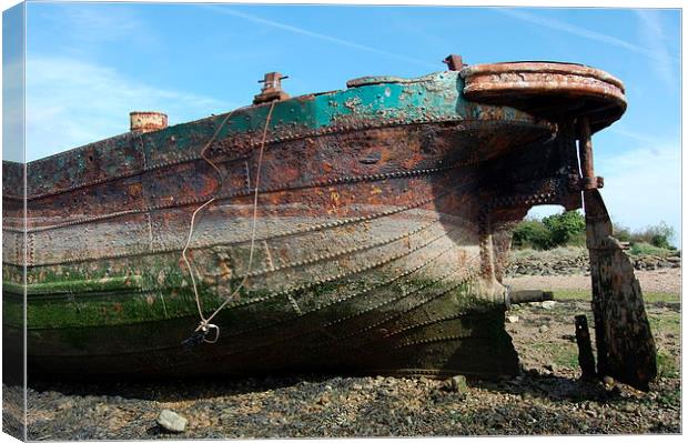 Rusting Wreck Canvas Print by Mike Gwilliams