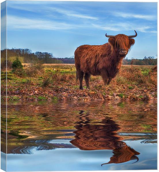 Time for a drink Canvas Print by Mark Bunning
