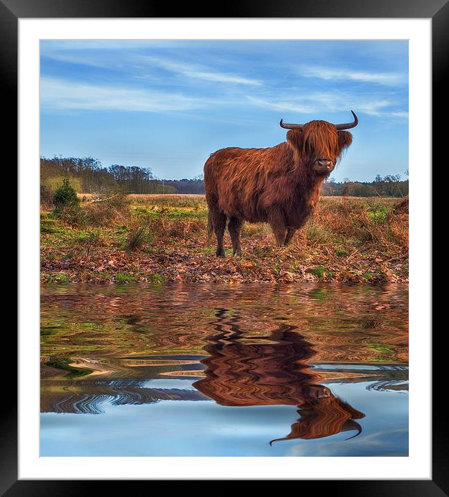 Time for a drink Framed Mounted Print by Mark Bunning