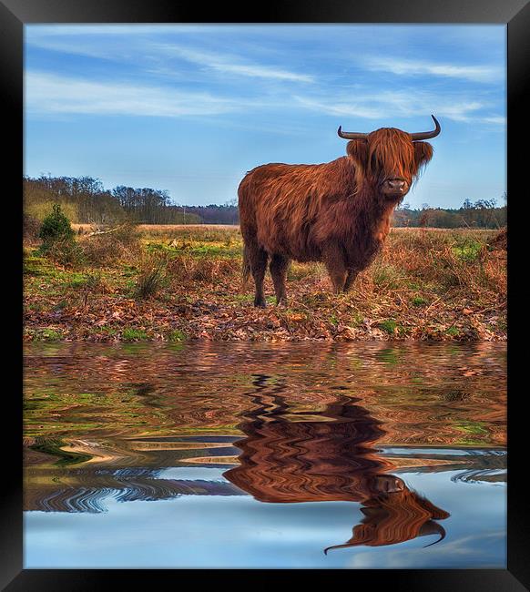 Time for a drink Framed Print by Mark Bunning