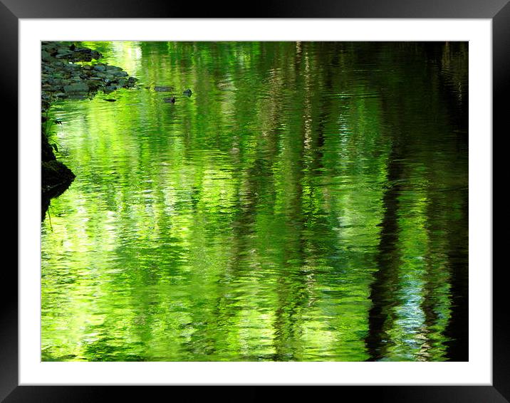 Green water Framed Mounted Print by Ralph Jackson
