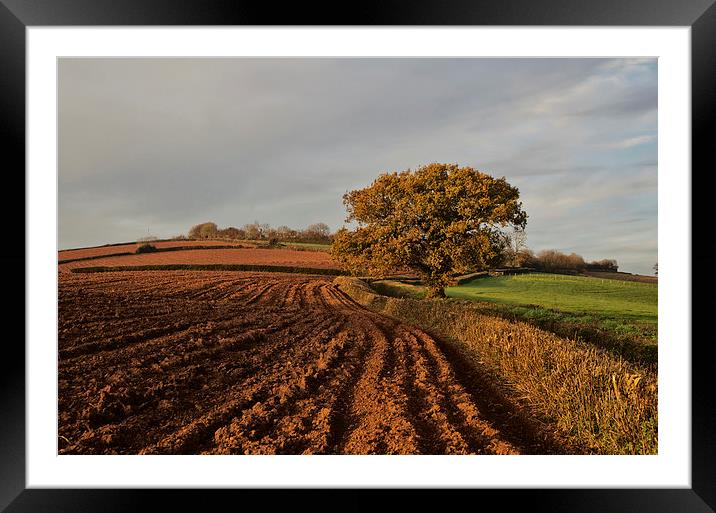 Furrows and Field Framed Mounted Print by Pete Hemington