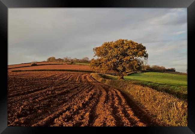 Furrows and Field Framed Print by Pete Hemington