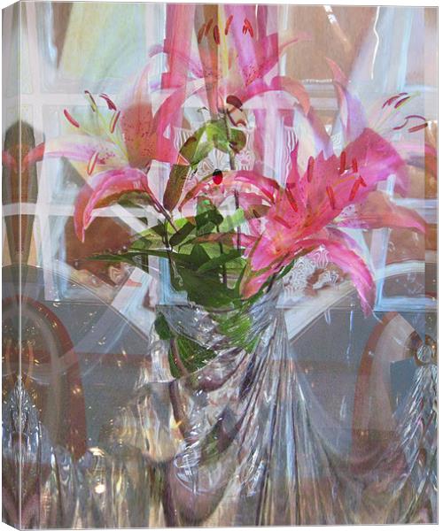 star lillies refraction Canvas Print by joseph finlow canvas and prints