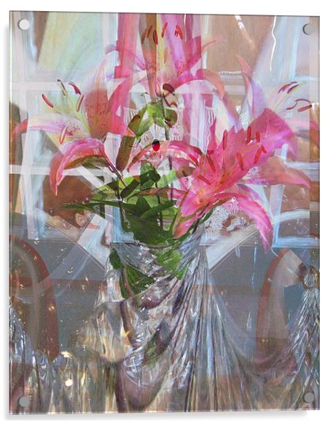 star lillies refraction Acrylic by joseph finlow canvas and prints