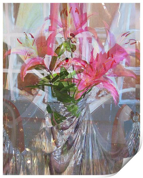 star lillies refraction Print by joseph finlow canvas and prints