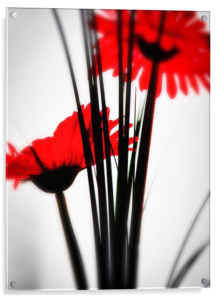 Red Flower 1 Acrylic by John Pinkstone