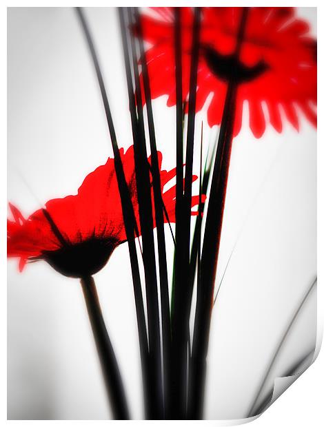 Red Flower 1 Print by John Pinkstone
