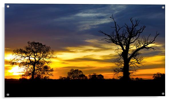 Silhouette Sunrise Acrylic by Darren Burroughs