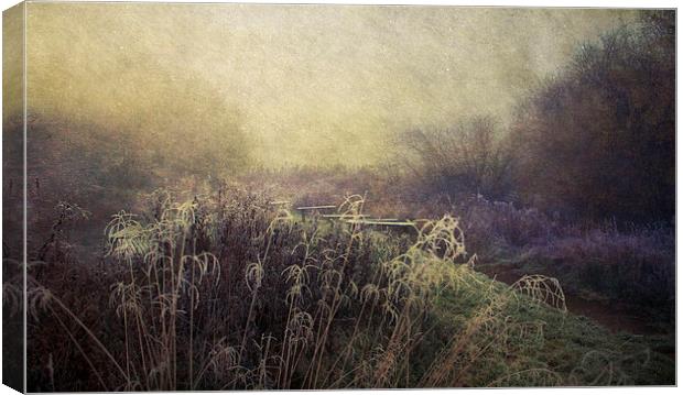 Winter wonderland Canvas Print by Dawn Cox