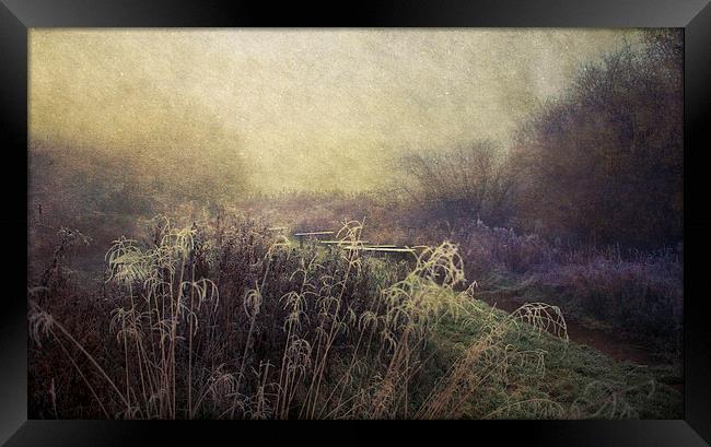 Winter wonderland Framed Print by Dawn Cox