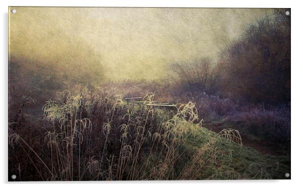 Winter wonderland Acrylic by Dawn Cox