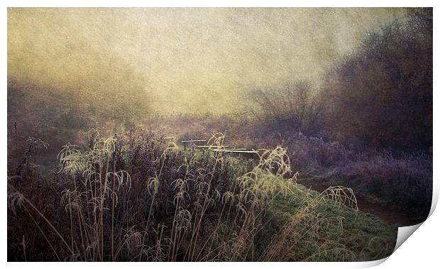 Winter wonderland Print by Dawn Cox