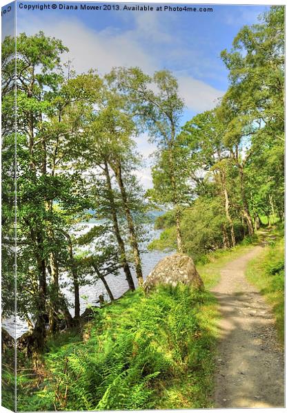 Loch Lomond Path Scotland  Canvas Print by Diana Mower