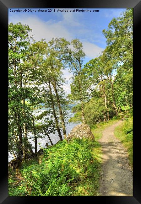 Loch Lomond Path Scotland  Framed Print by Diana Mower