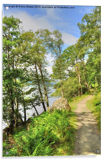Loch Lomond Path Scotland  Acrylic by Diana Mower
