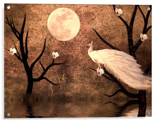 White Peacock Acrylic by Sharon Lisa Clarke