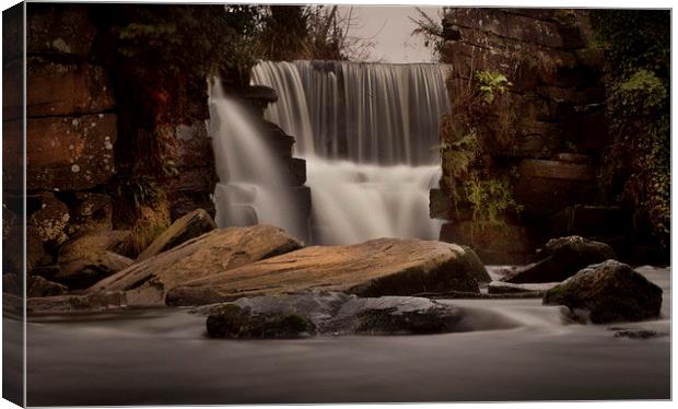 Penllergaer waterfalls Canvas Print by Leighton Collins