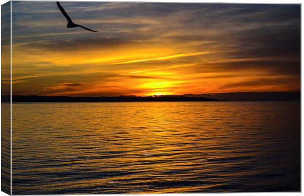 sunset over lee on solent Canvas Print by nick wastie
