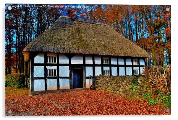 Aberonwydd Farmhouse Acrylic by Paula J James