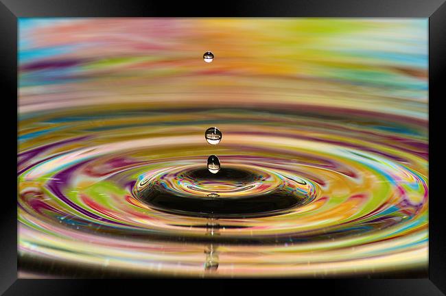 water drops bubbles an crowns Framed Print by nick wastie