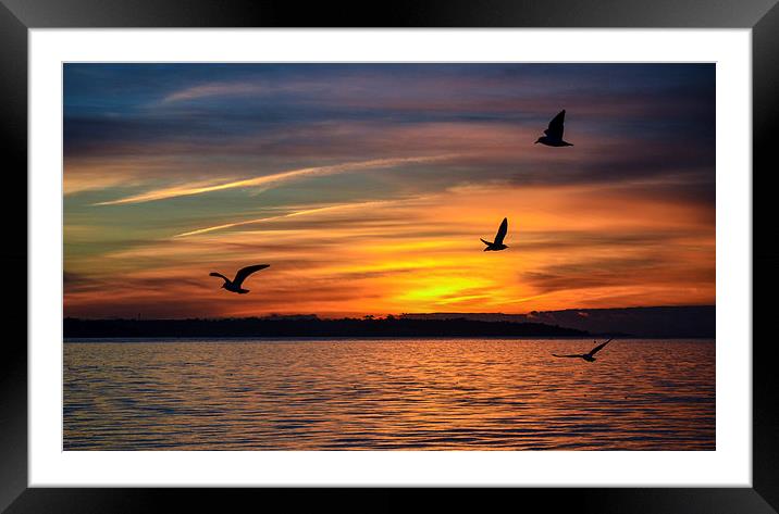 moody sunset Framed Mounted Print by nick wastie